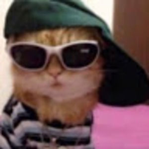 Meet your Posher, Leah